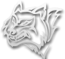 Logo Snow Wolf
