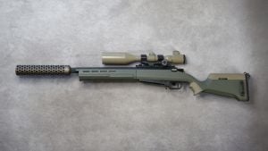 Occasion - Amoeba Striker AS-02 S2 (OD) Custom HPA