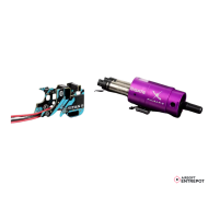 Gate Pulsar D2 + Titan II Bluetooth (Câblage Arrière)