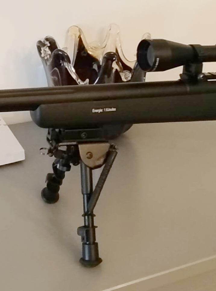 Customer Review Image