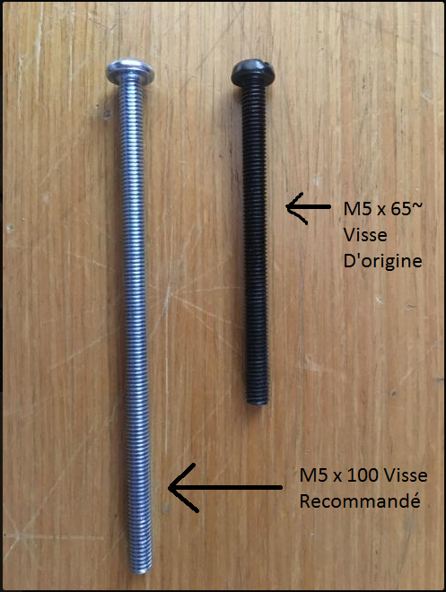 Customer Review Image