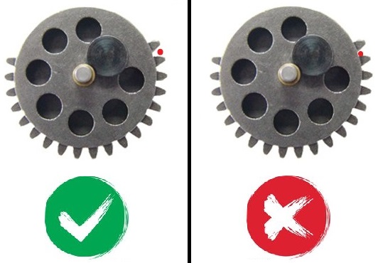 Customer Review Image