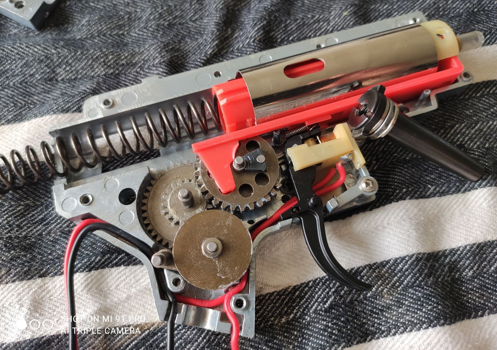 Customer Review Image