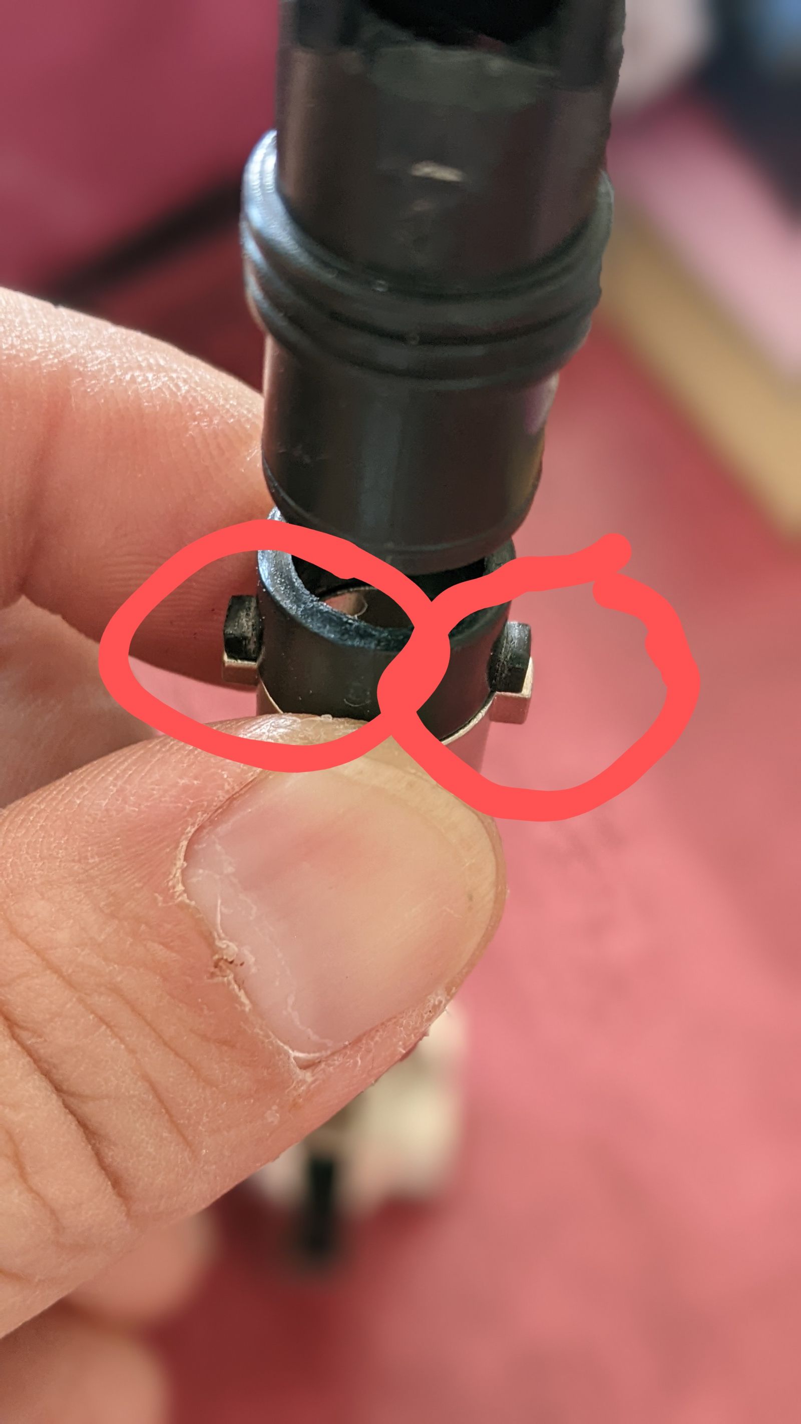 Customer Review Image